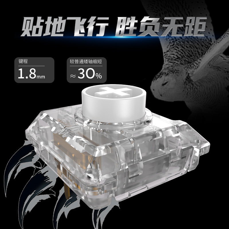 Kailh Choc White Owl Switch Mi - Gaming Keyboard Mini Mechanical review and price